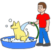 Dog bath