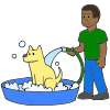 Bathe dog
