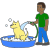 Dog bath