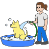 Wash a Dog
