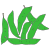 beans