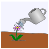 Keep+giving+the+plant+water. Picture
