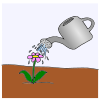 Sprinkle the soil with water