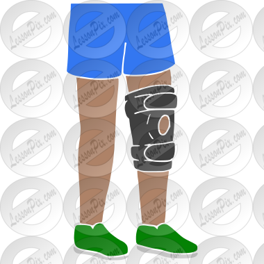 Knee Brace