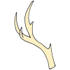 Antler Picture