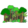 selva tropical - selva