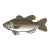 bass