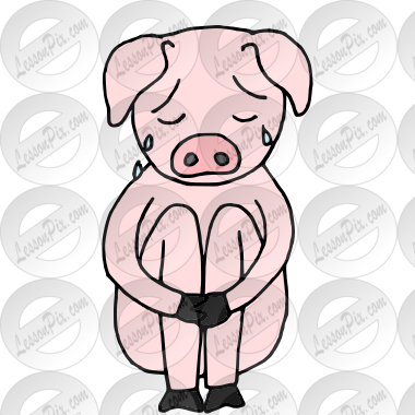 Sad Pig Picture