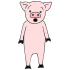 pig