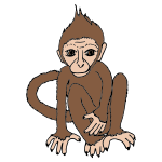 Monkey Picture