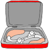Hearing Aid Case Picture