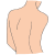 back
