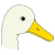 beak