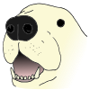 dog nose