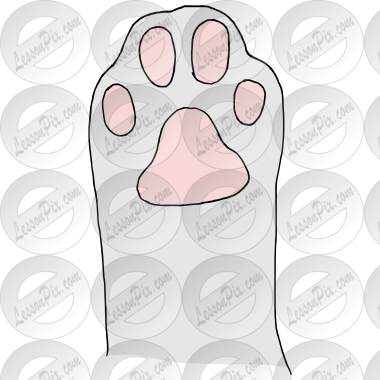 Paw Picture