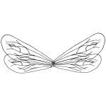 Insect Wings Outline