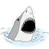shark+teeth Picture