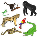 Jungle Animals Picture