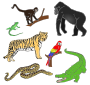 Jungle Animals