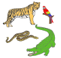 Jungle Animals