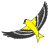 bird