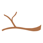 Branch Stencil