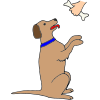 Dog Begging