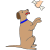 dog with bone