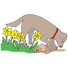 dog digging