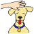 Pat