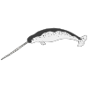 N+is+for+narwhal. Picture