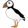 Puffin%0D%0AA+nickname+for+Puffins++is+Sea+Parrots. Picture