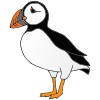 Puffin
A nickname for Puffins  is Sea Parrots.