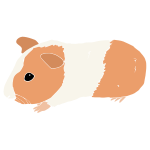Guinea Pig Stencil
