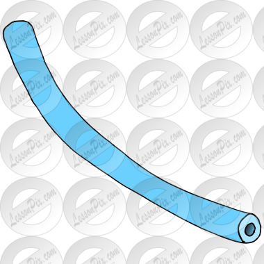 Pool Noodle
