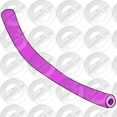 Pool Noodle