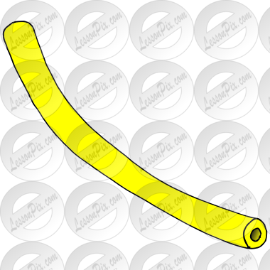 Pool Noodle
