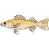 Fry
