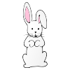 There's a white bunny.