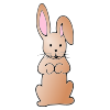 Where is bunny?
