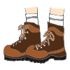 OLD SHOES, NEW SHOES