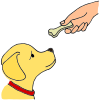 dog biscuit
