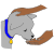 dog biscuit