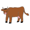 brown+cow Picture