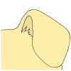 dog ear