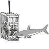 Shark+Cage Picture