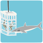 Shark Cage Stencil