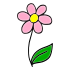 plants