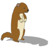 Groundhog Day is a popular tradition in the United States and Canada, celebrated on February 2nd. According to folklore, if a groundhog emerges from its burrow and sees its shadow, there will be six more weeks of winter; if it doesn't, spring will arrive early.  Picture