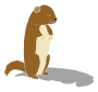 Groundhog Shadow
